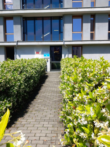 Ingresso palazzina