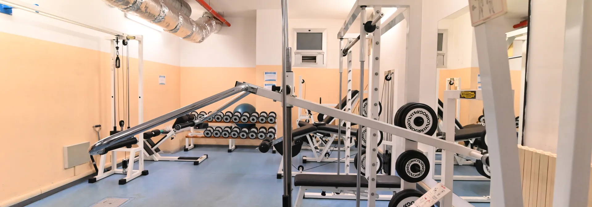 Palestra CappelVerde